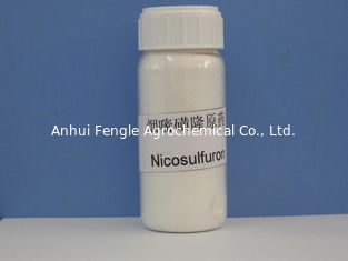 Nicosulfuron 97% TC, Sistemik Seçici Geniş Yapraklı Ot Öldürücü, Kirli beyaz toz