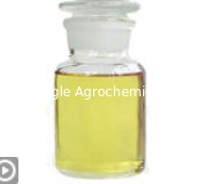 Quizalofop-P-Etil %5 EC %10 EC %20 EC Pestisit Herbisit 100646-51-3