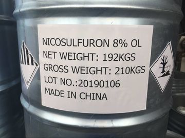 Nicosulfuron 80g / L OD ， Sütlü beyaz sıvı Ma Mısır İçin Geniş Yapraklı Çimen Katili
