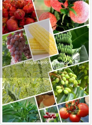25057-89-0 Zirai Kimyasal Pestisitler Herbisit Bentazon 95%TC