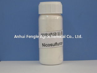 Herbisit Nicosulfuron %97 TC CAS No 111991-0904